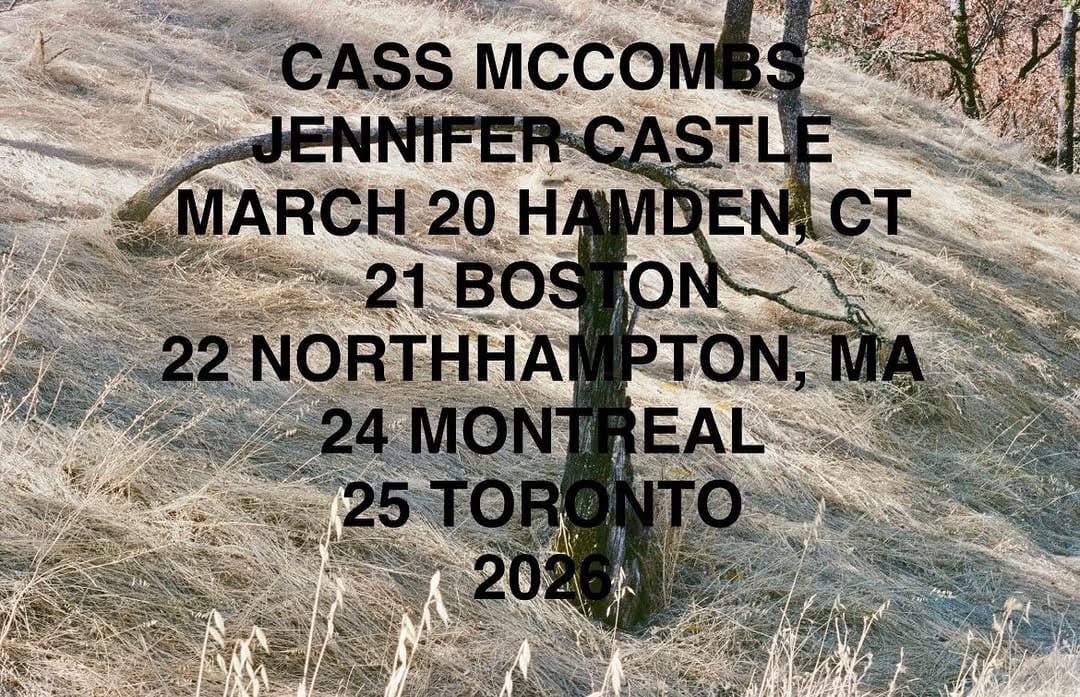 Post 9 by Jennifer Castle on Instagram (image)