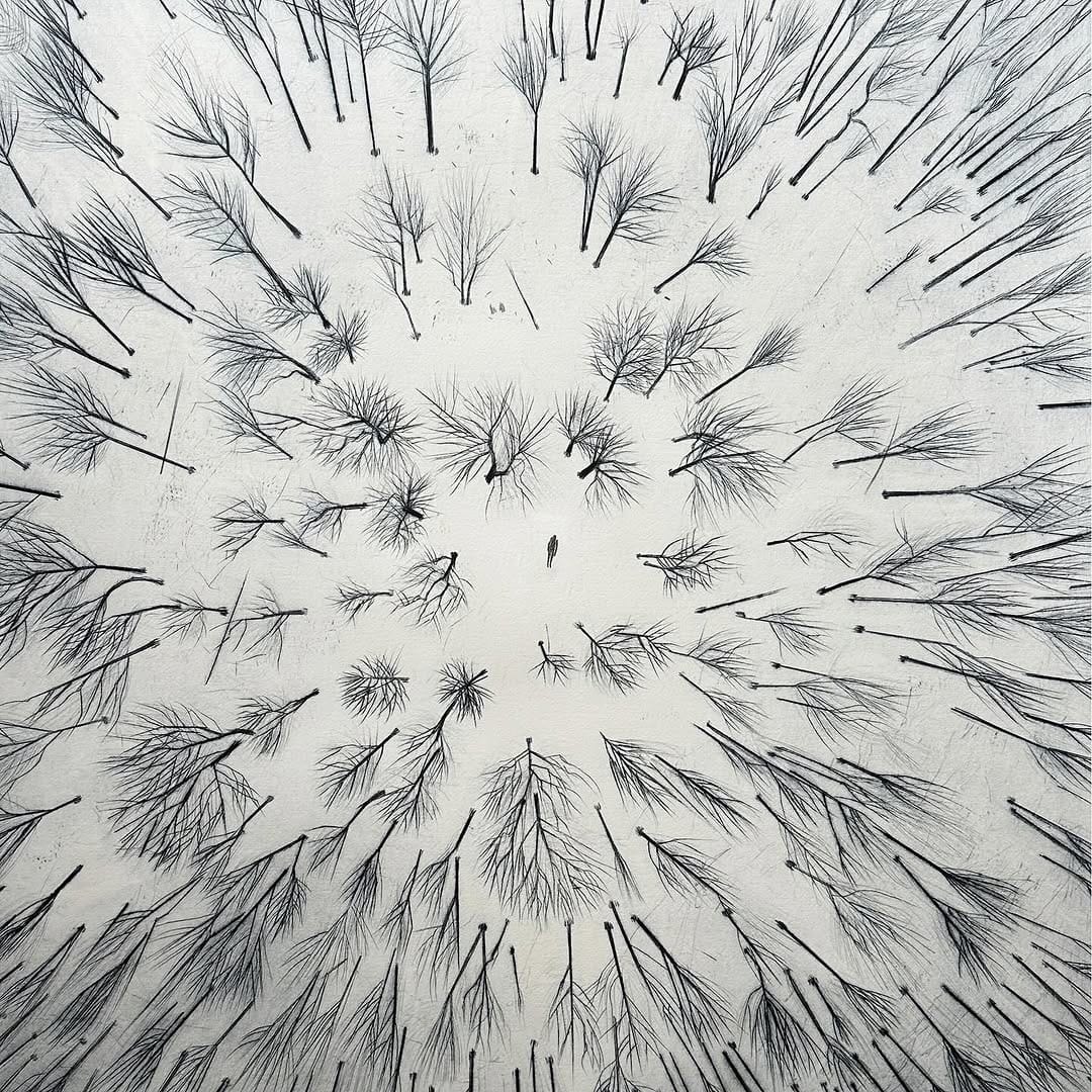 Post 8 by Steven Gutheinz on Instagram (image)