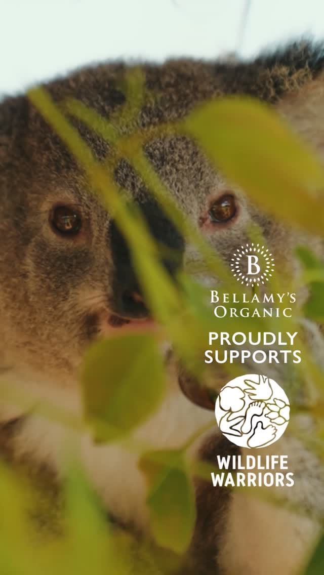 Post 4 by Bellamy's Organic on Instagram (video)