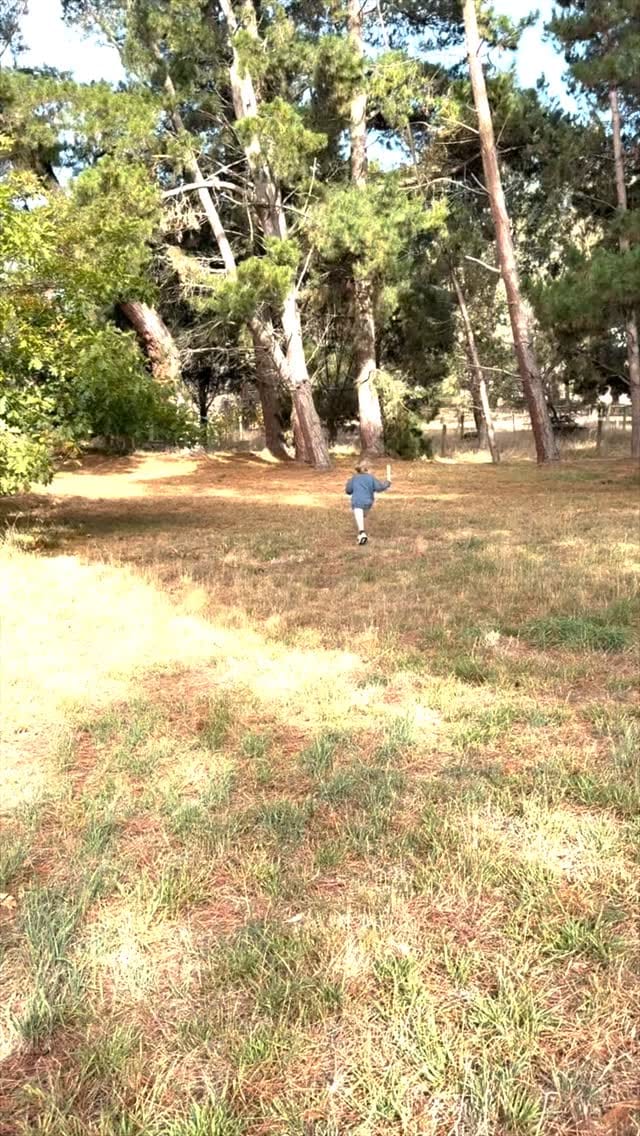 Post 3 by Bellamy's Organic on Instagram (video)
