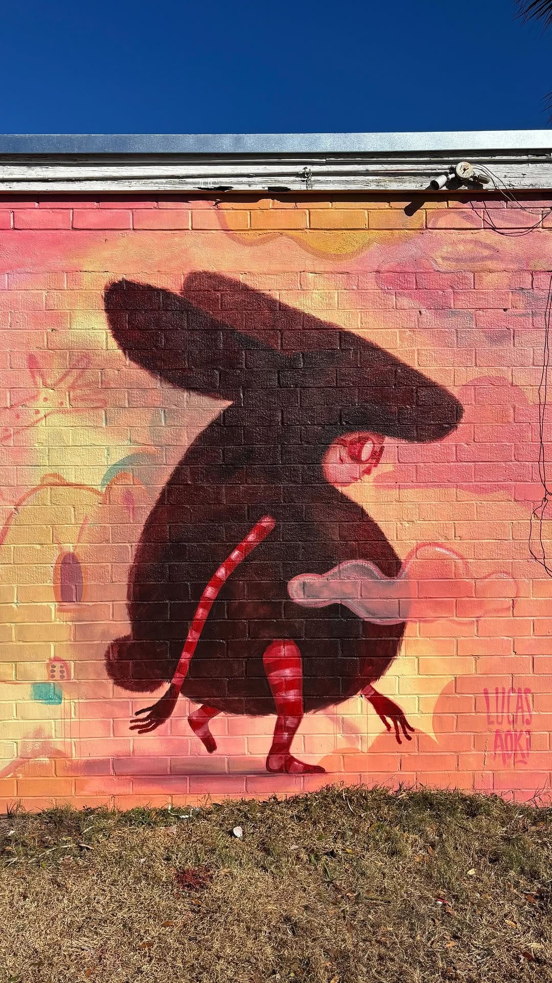 Post 5 by Lucas Aoki on Instagram (video)
