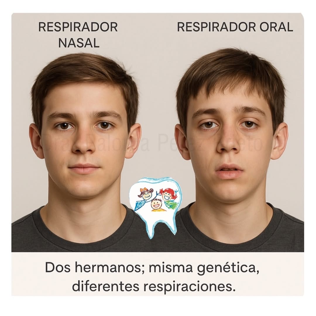 Post 9 by Dra Paloma Pérez. Odontopediatra en Valencia 🇪🇸 on Instagram (image)