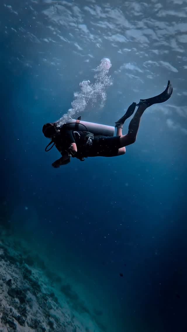 Post 4 by ELLE SCHEMBRI on Instagram (video)