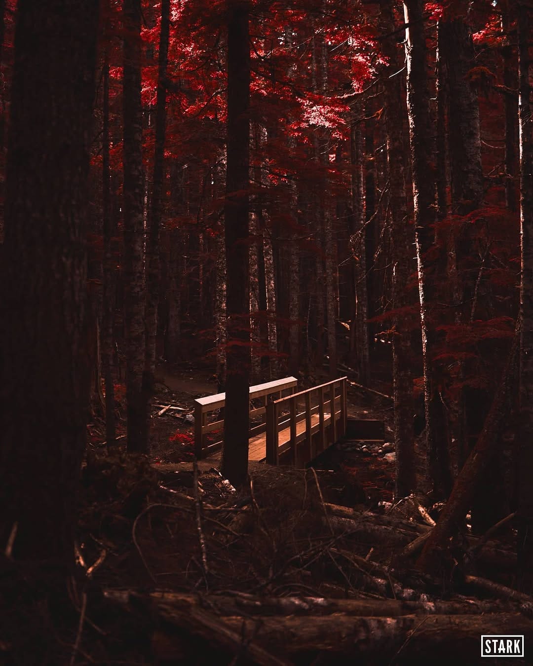 Post 8 by Robbie Stark on Instagram (image)
