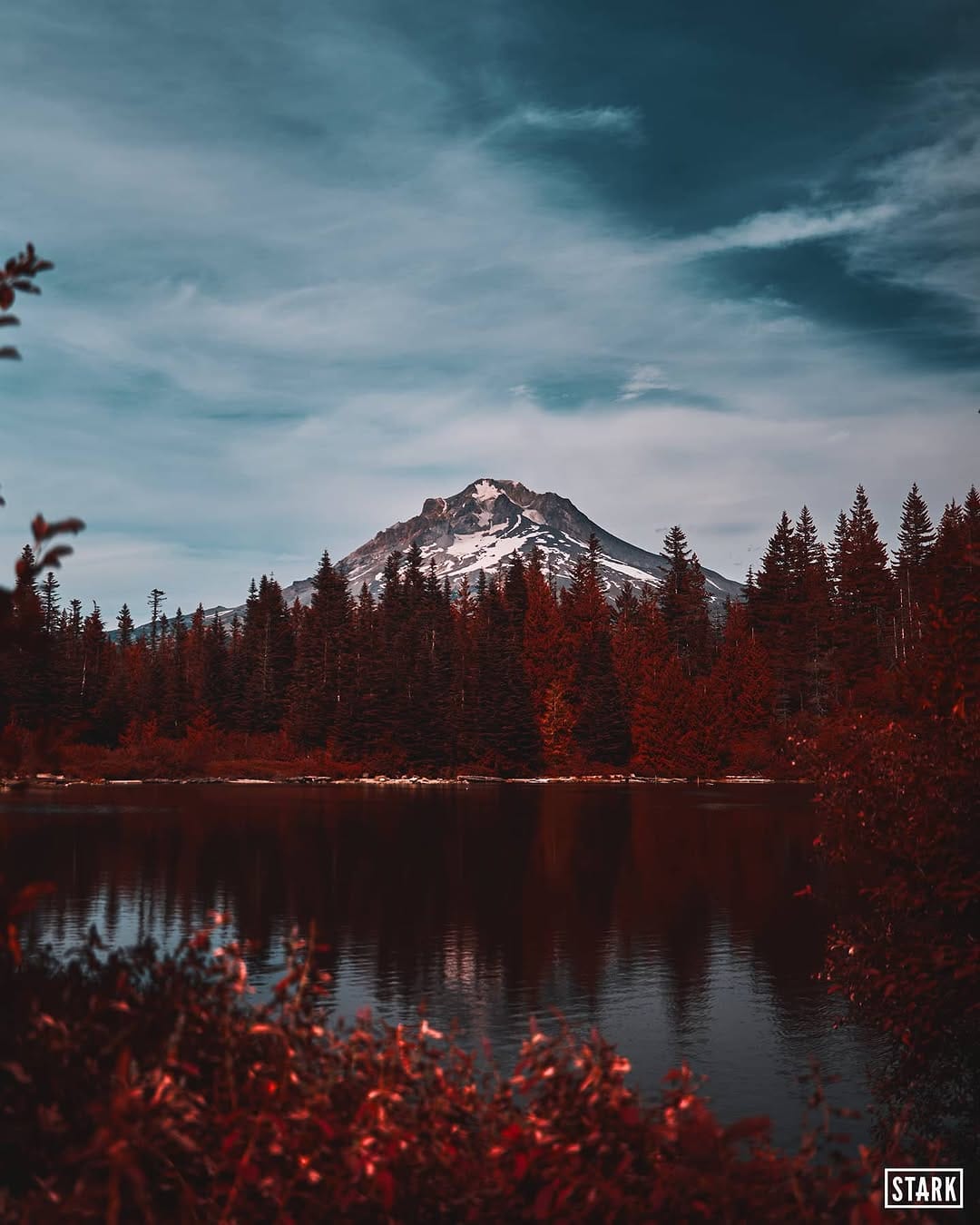 Post 7 by Robbie Stark on Instagram (image)