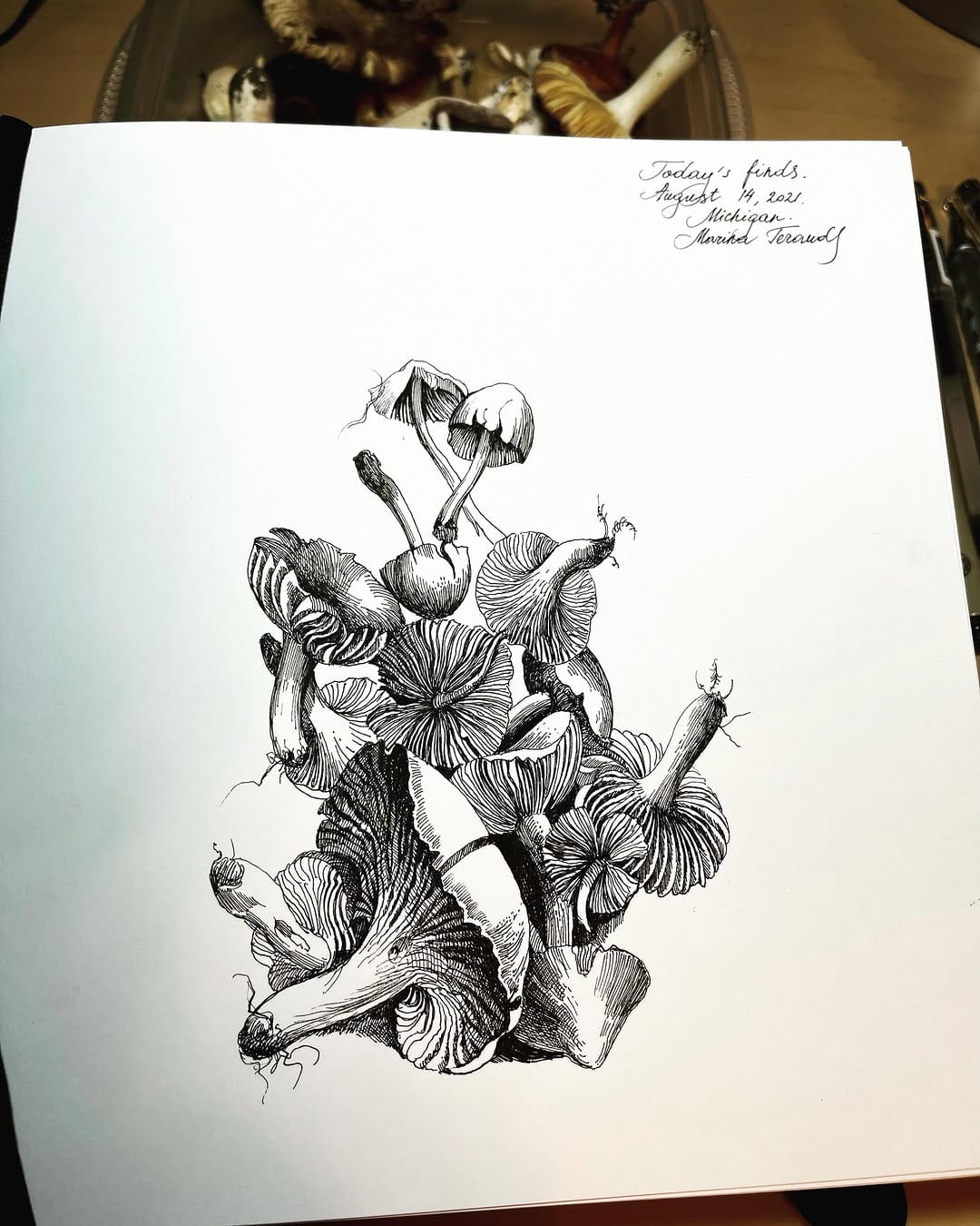 Post 3 by Marina Terauds on Instagram (image)