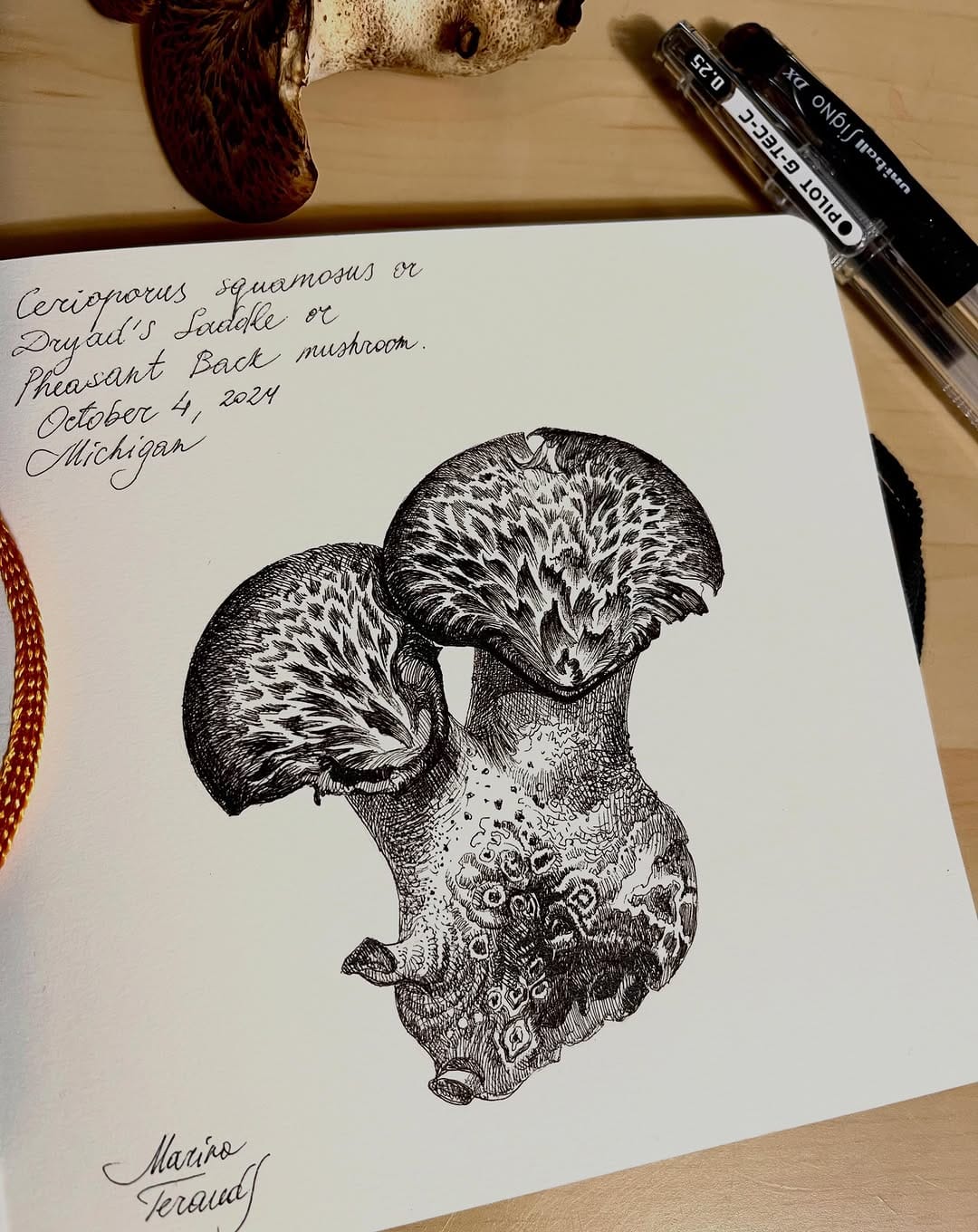 Post 6 by Marina Terauds on Instagram (image)