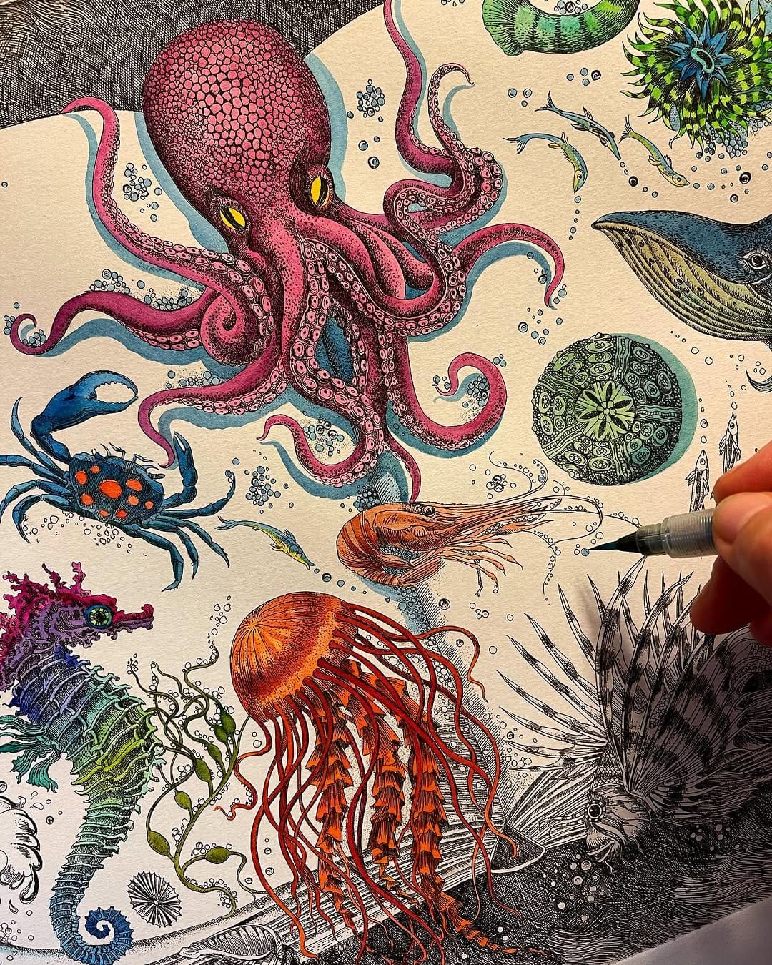 Post 9 by Marina Terauds on Instagram (image)