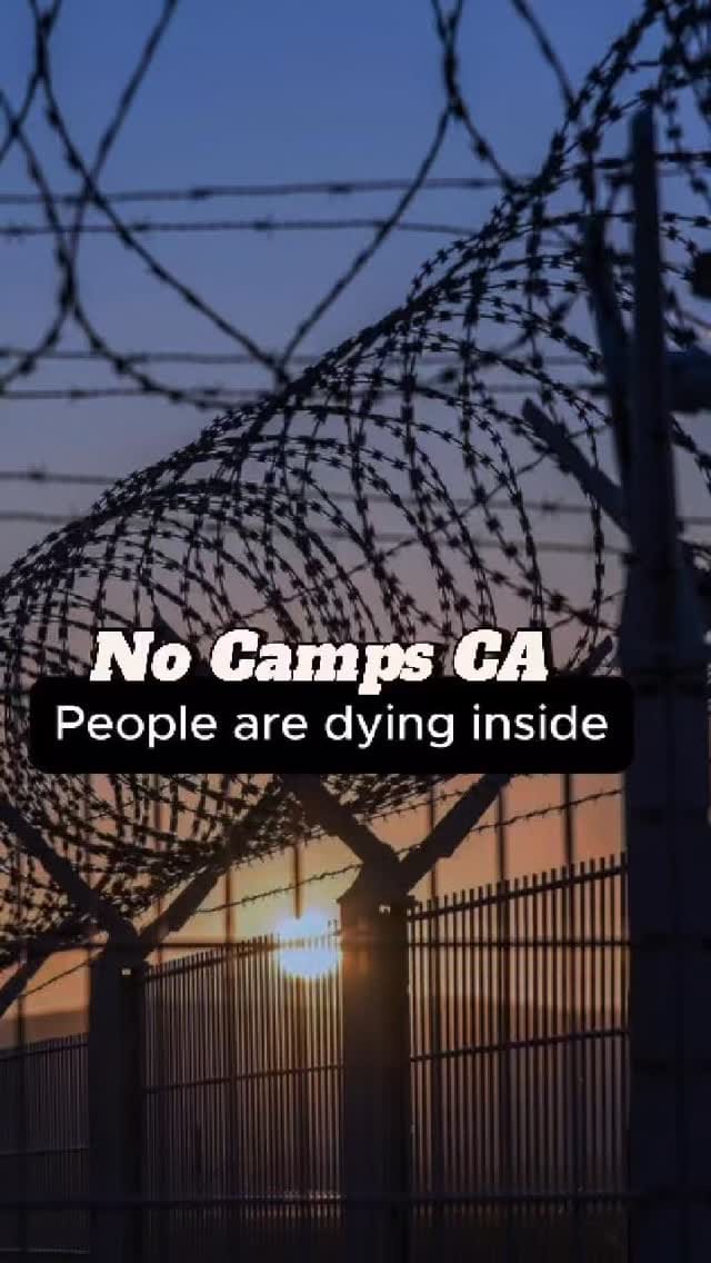 Post 3 by Commotion on Instagram (video)