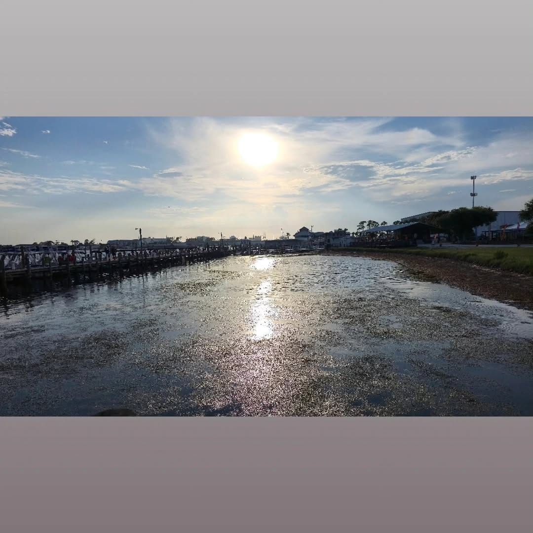 Post 9 by 𝐓𝐚𝐦𝐢𝐤𝐚 𝐓𝐲𝐚𝐧 on Instagram (carousel)