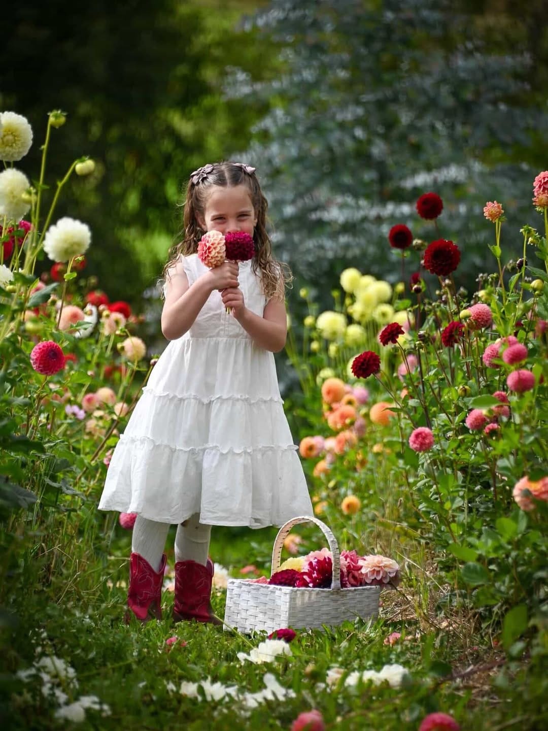 Post 1 by Flower Girl + Special Occasion Dresses on Instagram (carousel)