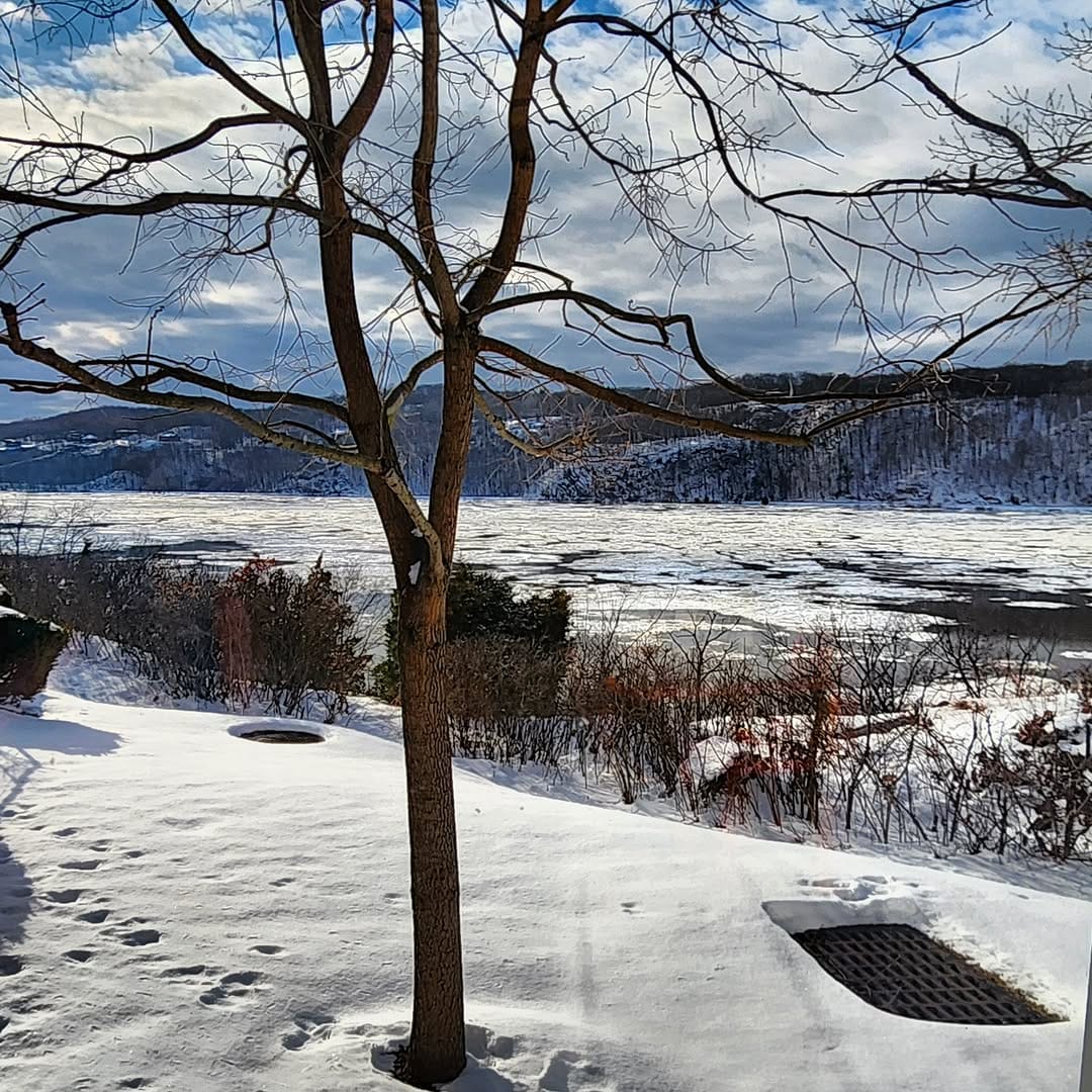 Post 5 by New York #ContentCreator on Instagram (image)