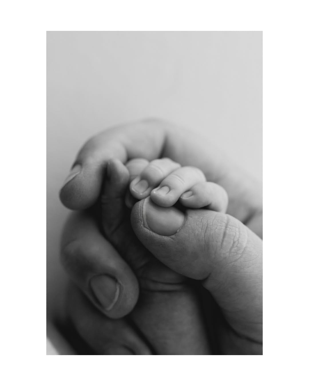 Post 7 by Melbourne Newborn Photographer on Instagram (image)