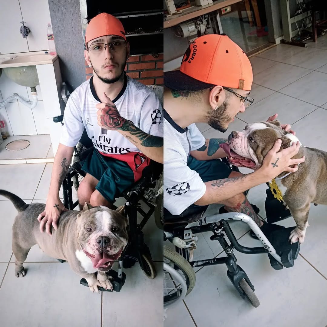 Post 5 by Lourenço bulls on Instagram (image)