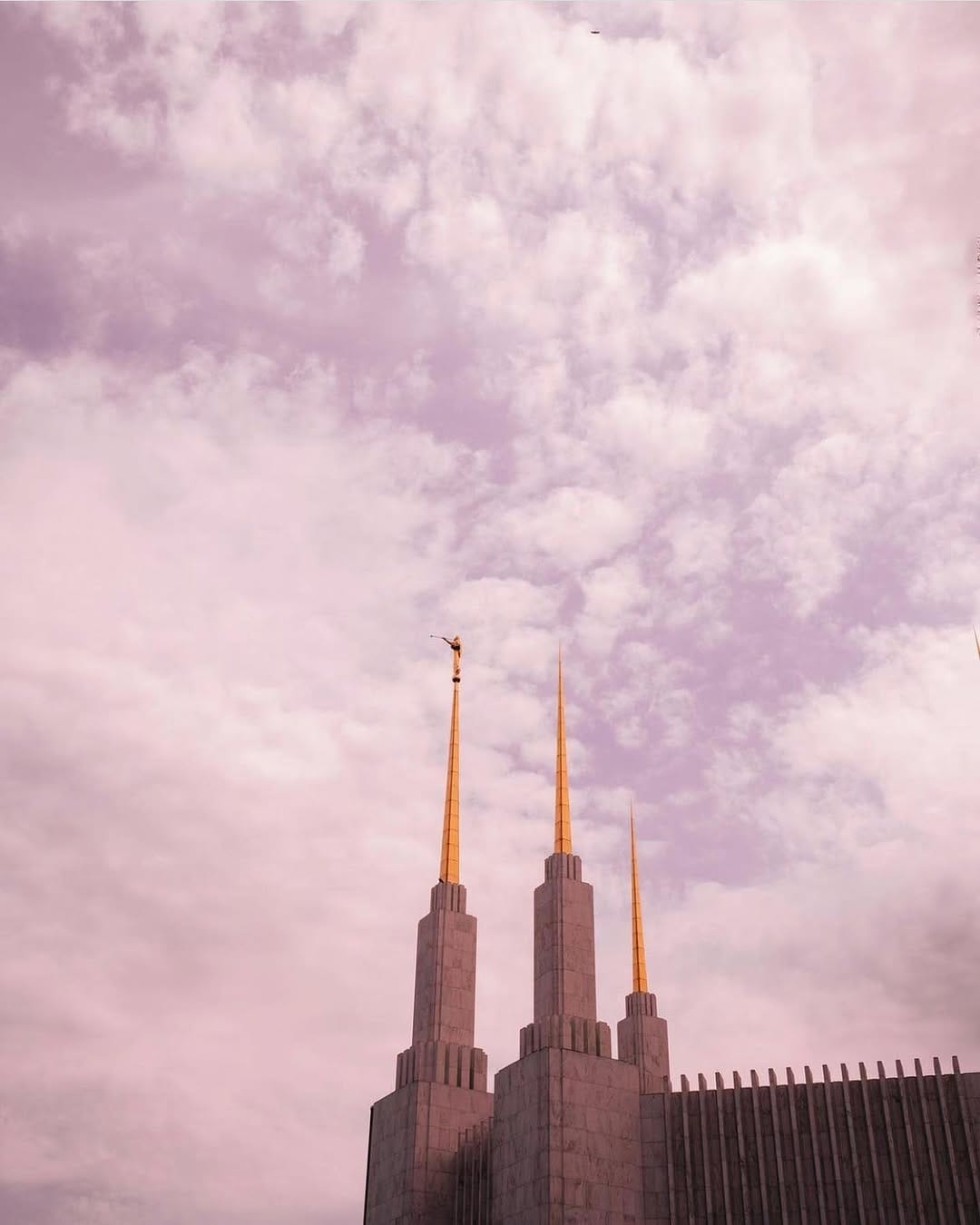 Post 10 by Washington D.C. Temple on Instagram (image)