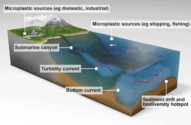 Post 5 by ECOCEAN on Instagram (image)