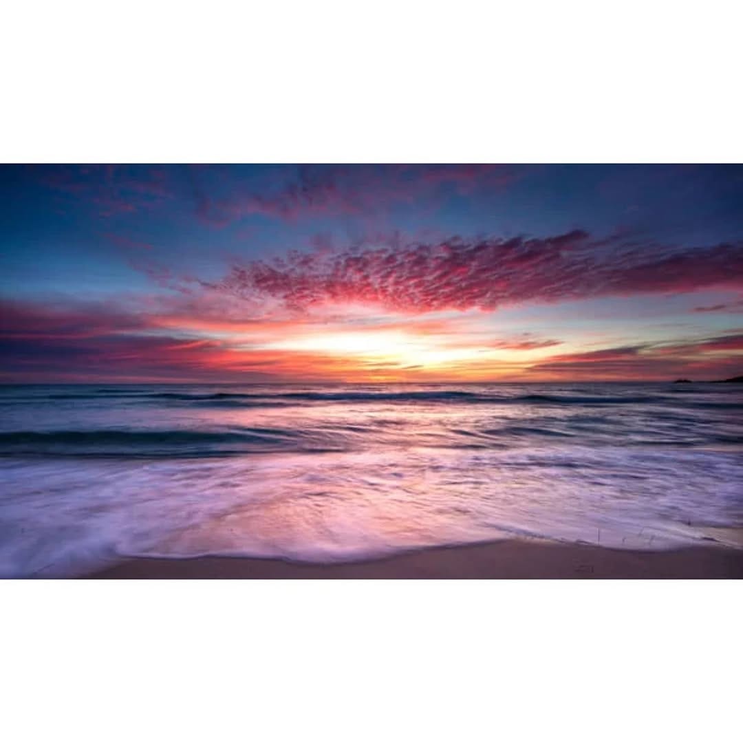 Post 7 by ECOCEAN on Instagram (image)