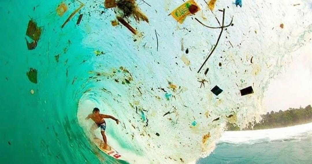 Post 8 by ECOCEAN on Instagram (image)