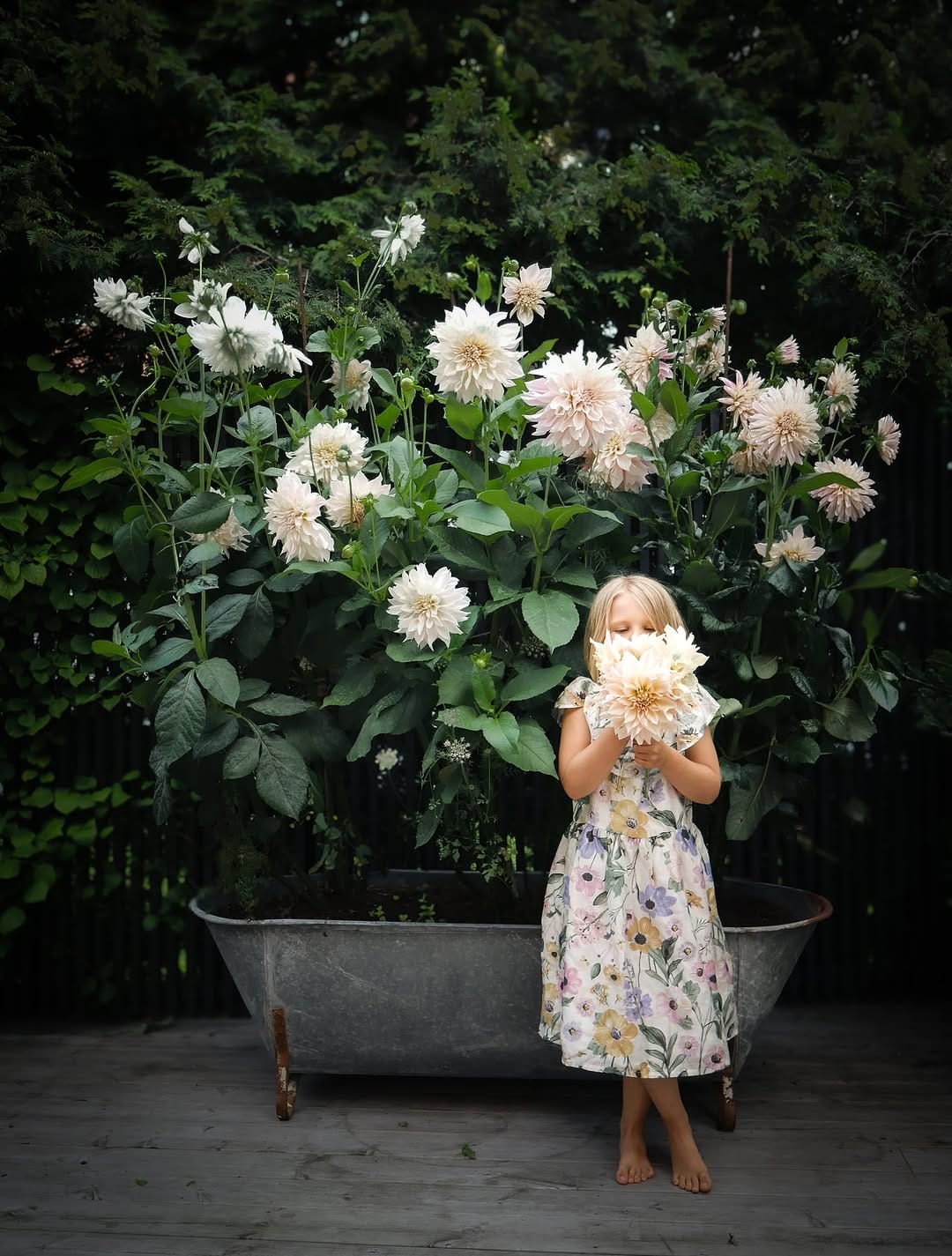 Post 8 by JULIA SCHILLER on Instagram (image)
