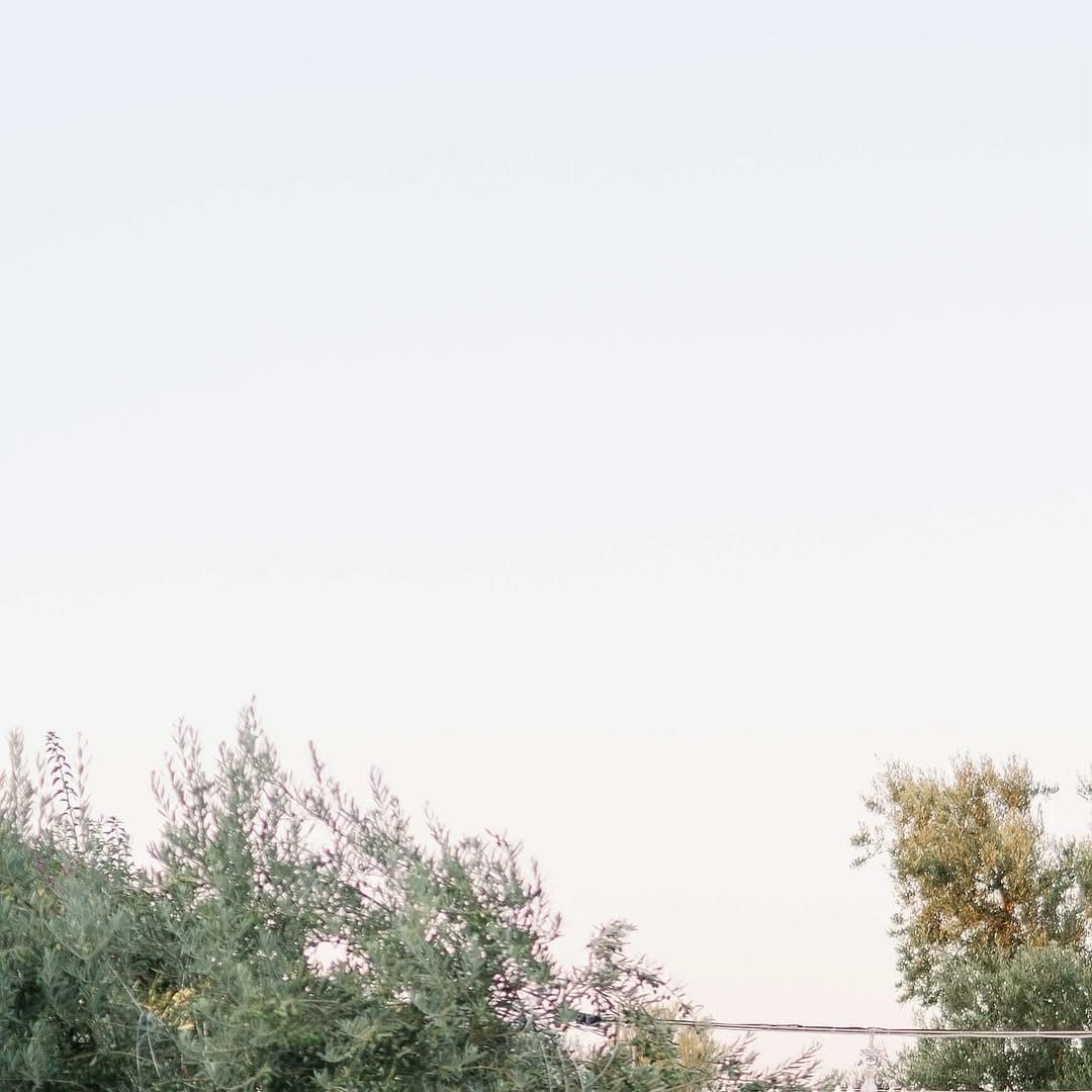 Post 6 by Tijana Battaglia Events on Instagram (image)
