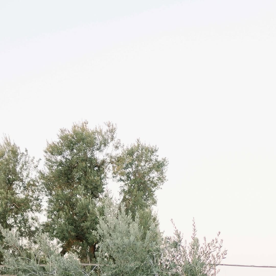 Post 8 by Tijana Battaglia Events on Instagram (image)