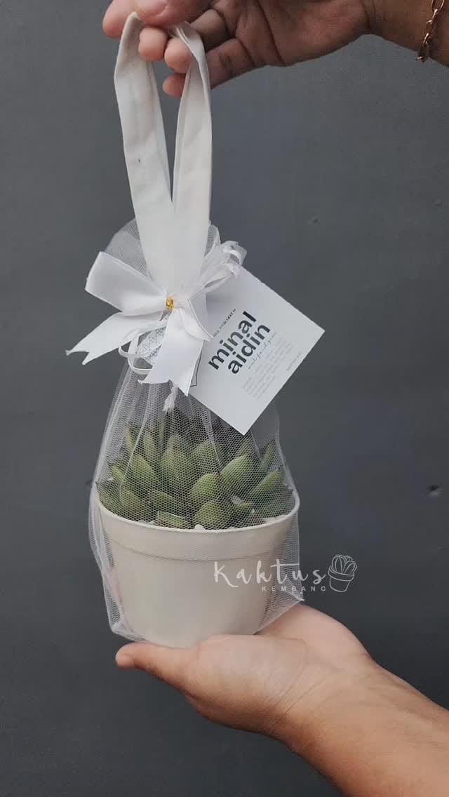 Post 1 by KAKTUS JOGJA on Instagram (video)