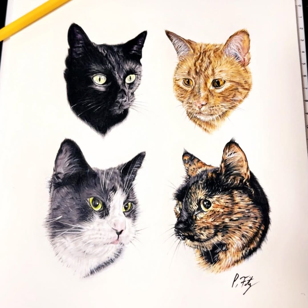 Post 6 by Perry Fitzgerald on Instagram (image)