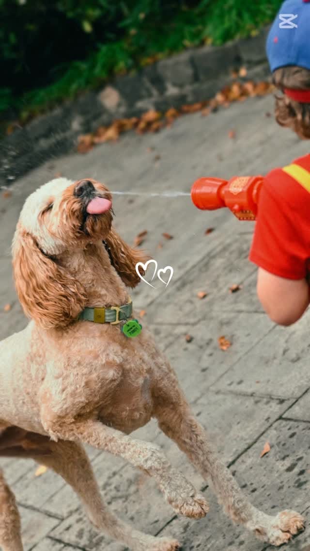 Post 1 by twogoodtoresist on Instagram (video)