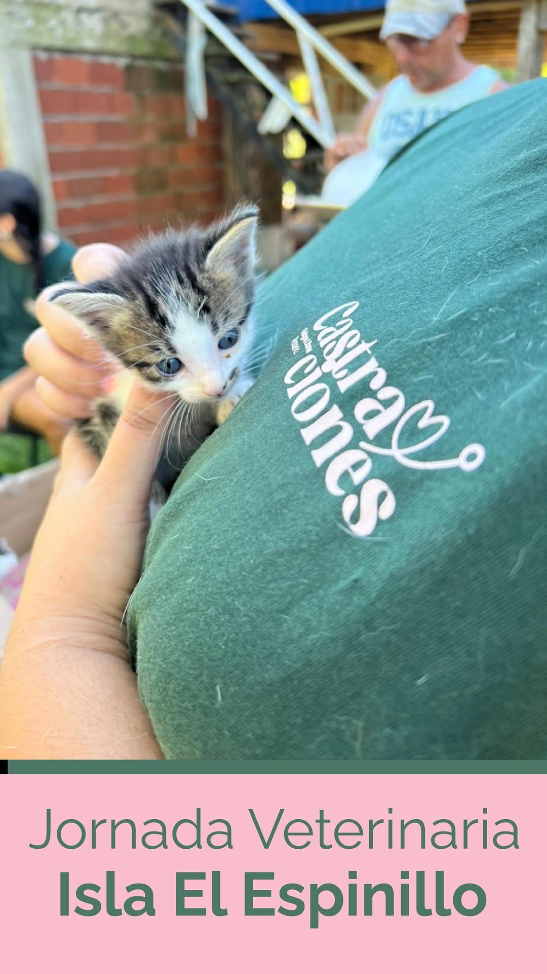 Post 8 by Galgos Libres Rosario on Instagram (video)