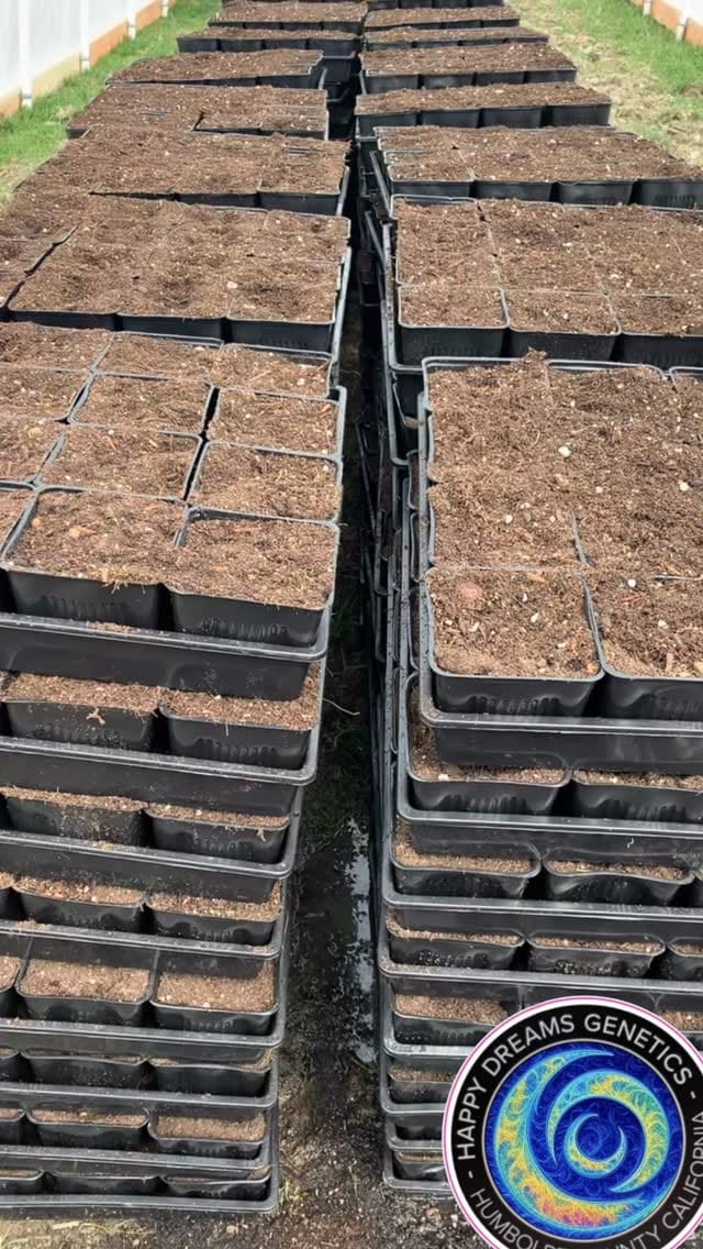 Post 4 by Happy Dreams Farm on Instagram (video)