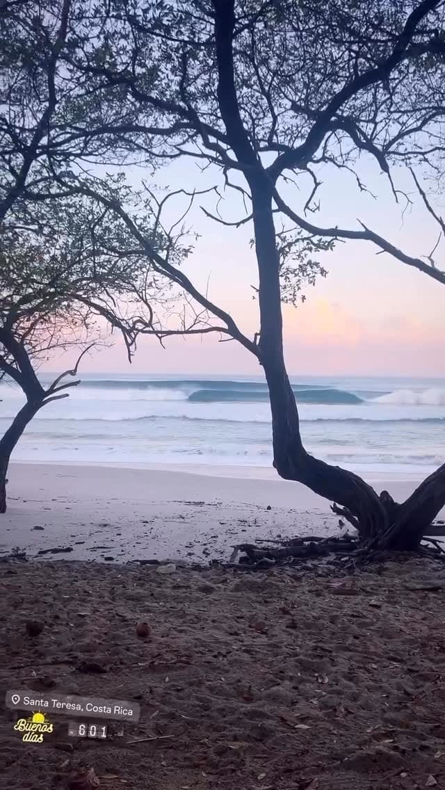 Post 3 by Happy Dreams Farm on Instagram (video)