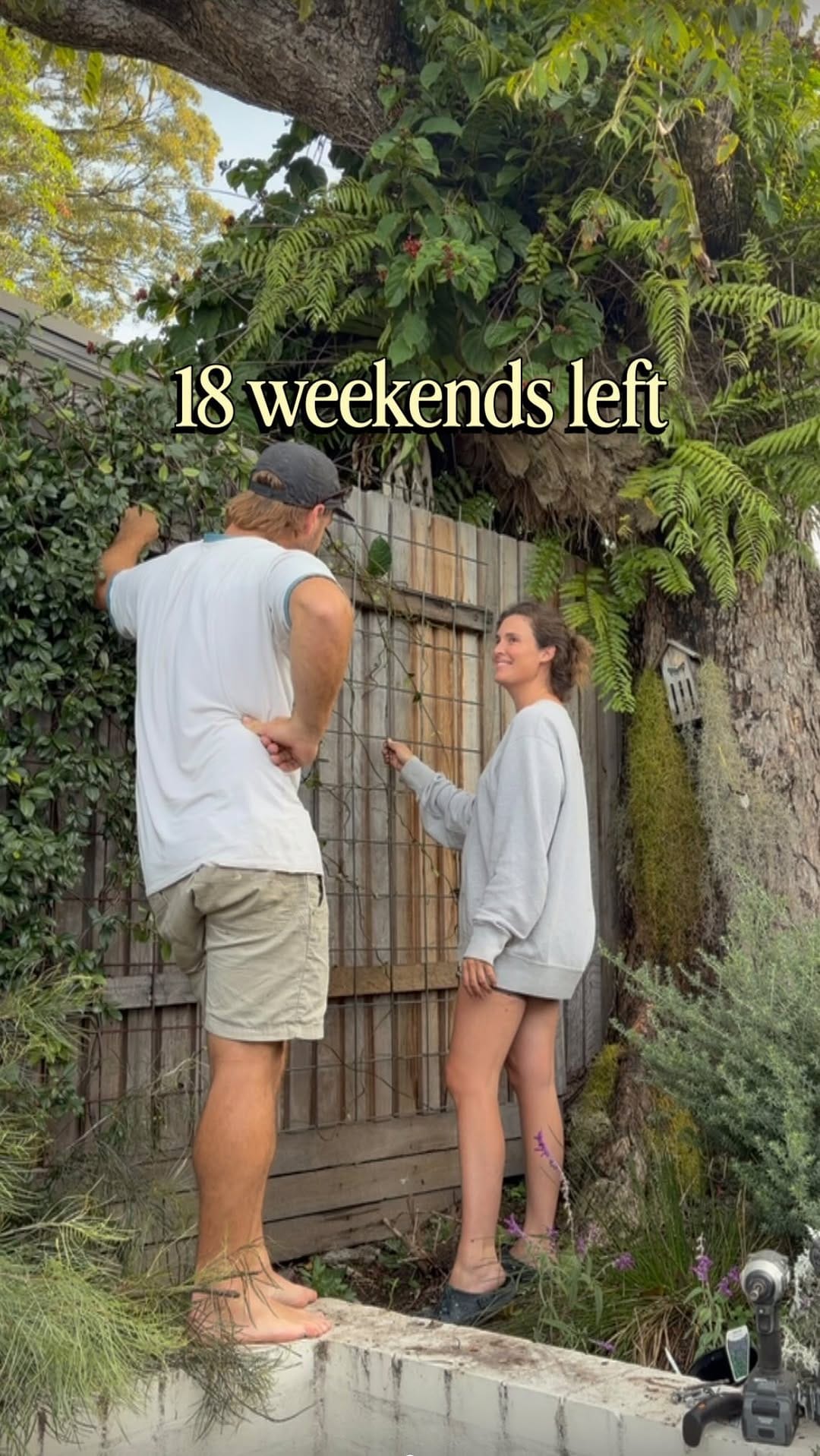 Post 3 by Ness and James | 1950’s Cottage renovation on Instagram (video)