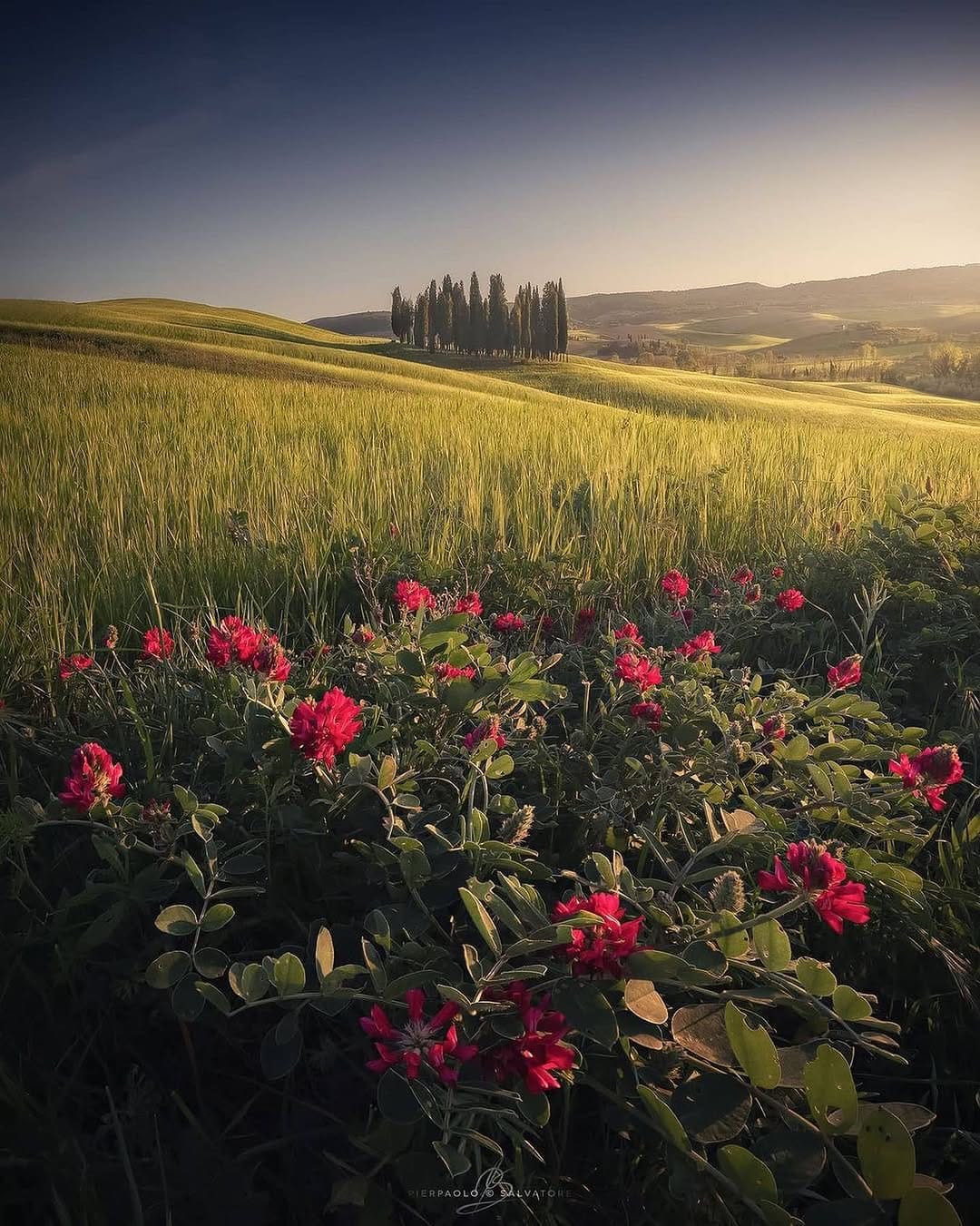 Post 1 by Conoscere la Toscana on Instagram (image)