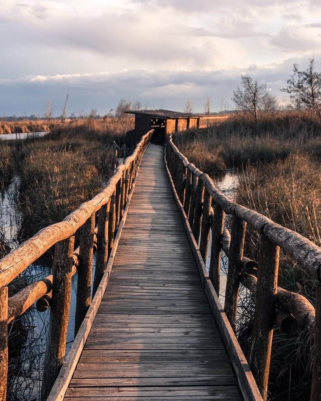 Post 5 by Conoscere la Toscana on Instagram (image)