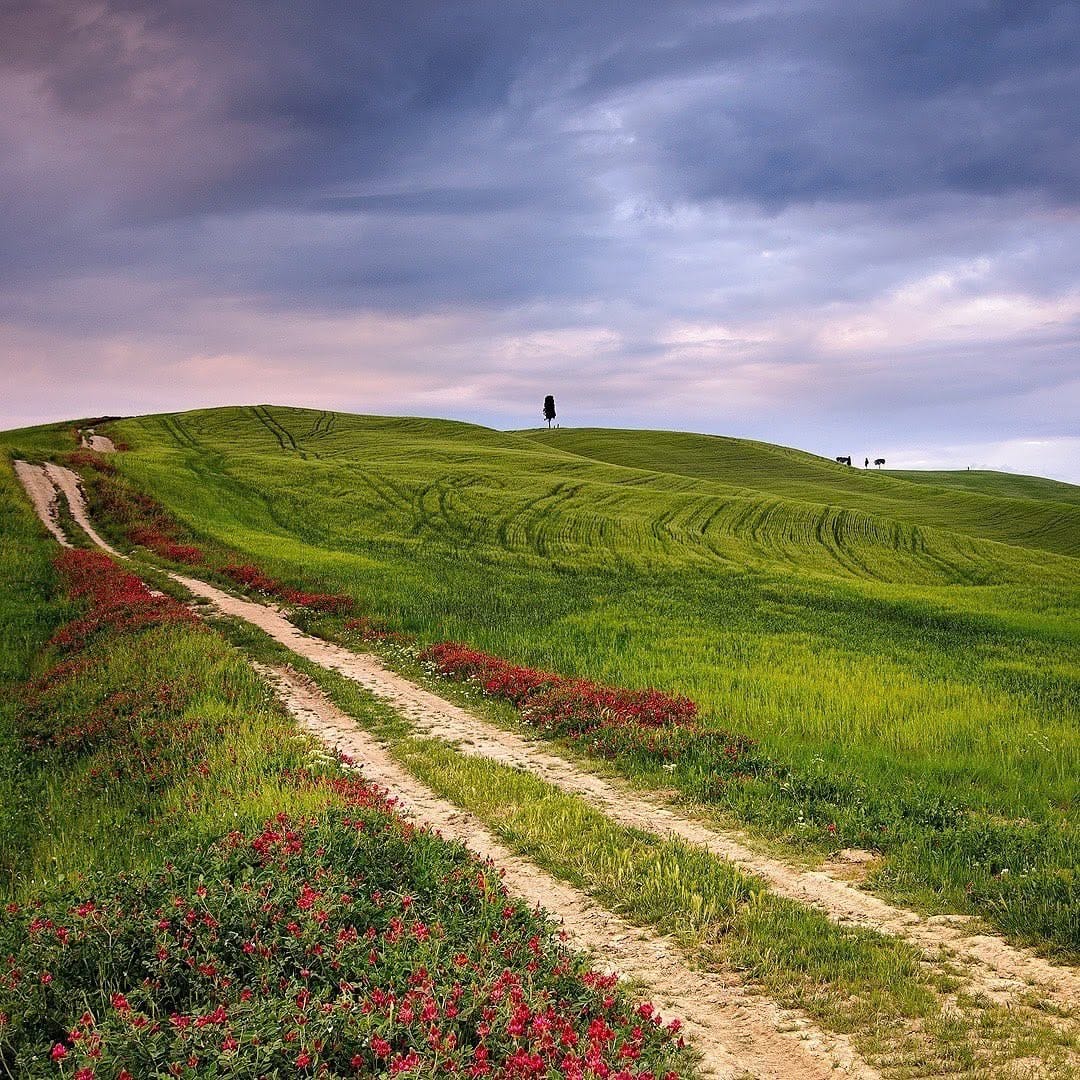Post 2 by Conoscere la Toscana on Instagram (image)