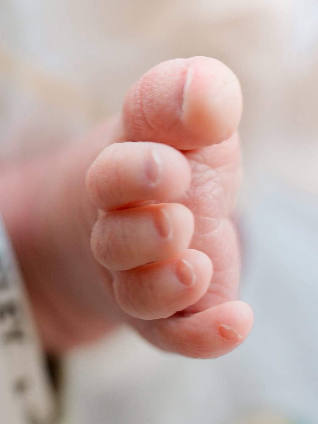 Post 7 by Dawn Potter | Newborn Photographer on Instagram (carousel)