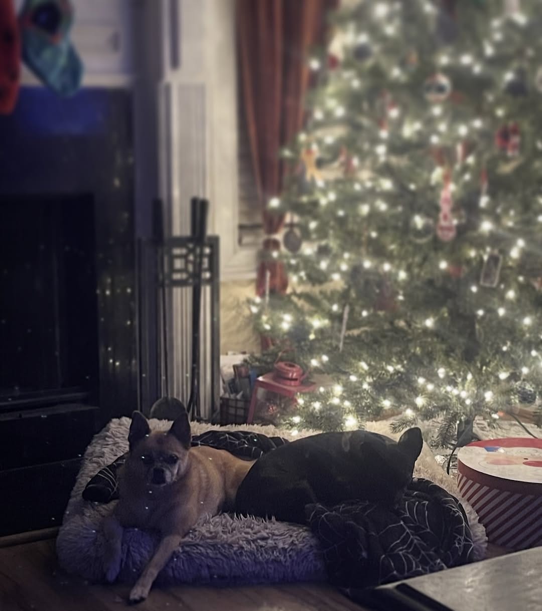 Post 1 by Evie-May & Graham on Instagram (image)