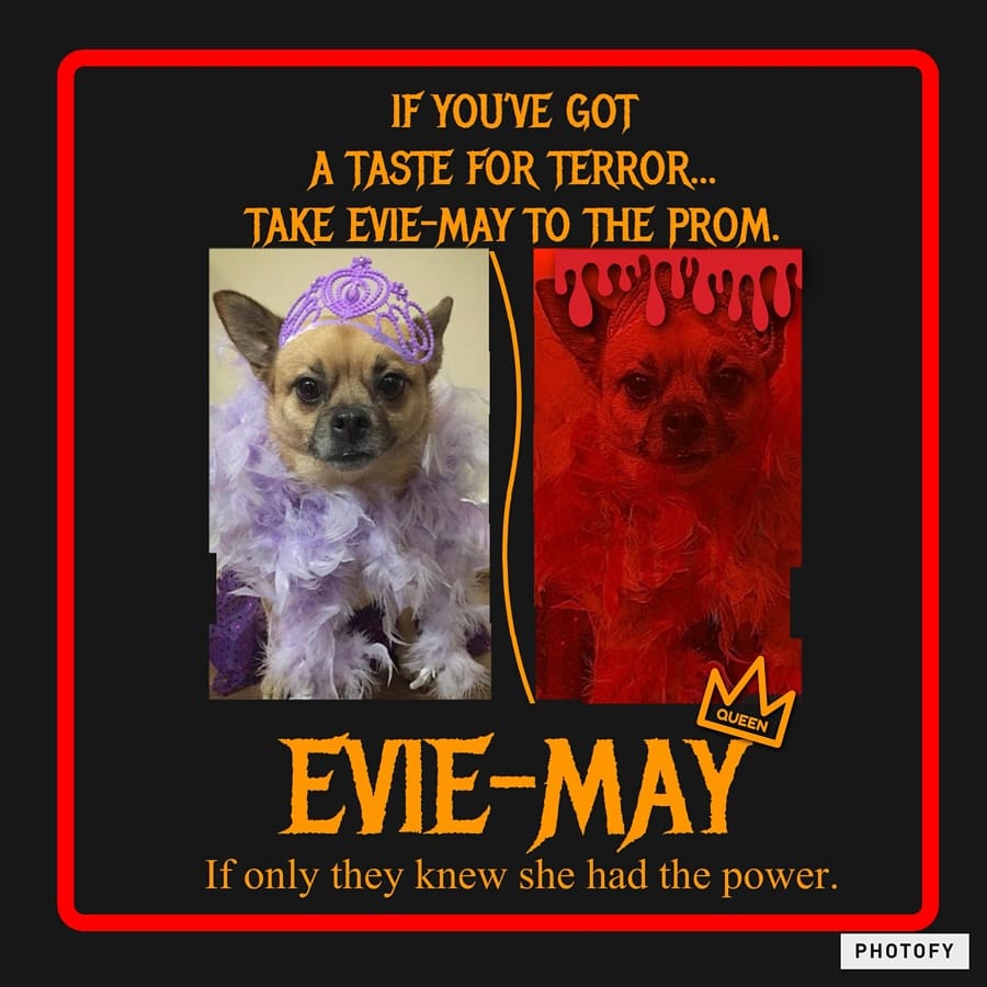 Post 8 by Evie-May & Graham on Instagram (image)