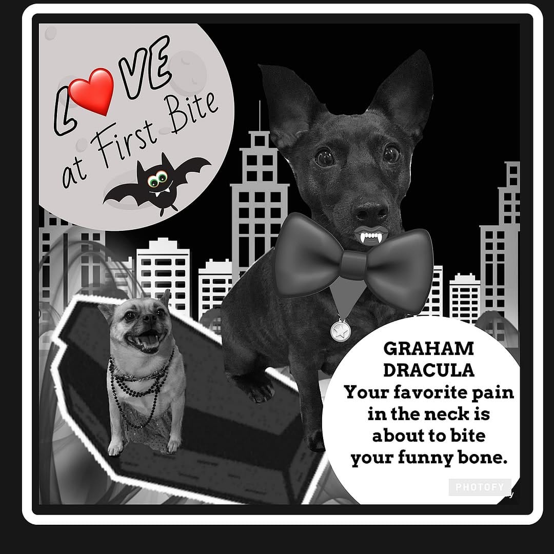 Post 7 by Evie-May & Graham on Instagram (image)