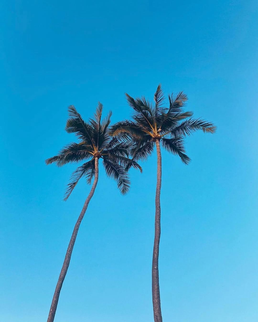 Post 10 by Photos And Content Of Hawaii on Instagram (image)