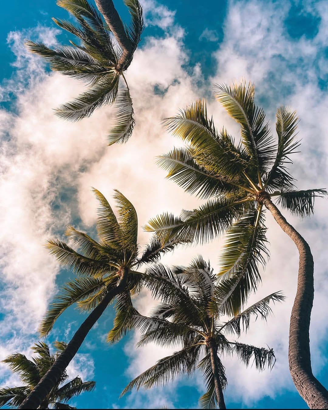 Post 4 by Photos And Content Of Hawaii on Instagram (image)