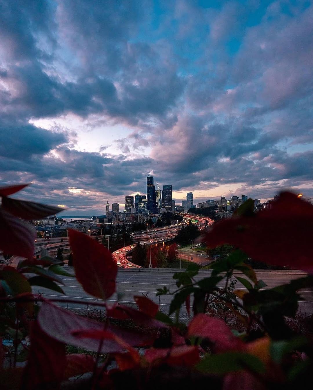 Post 3 by @IGers_SEATTLE on Instagram (image)