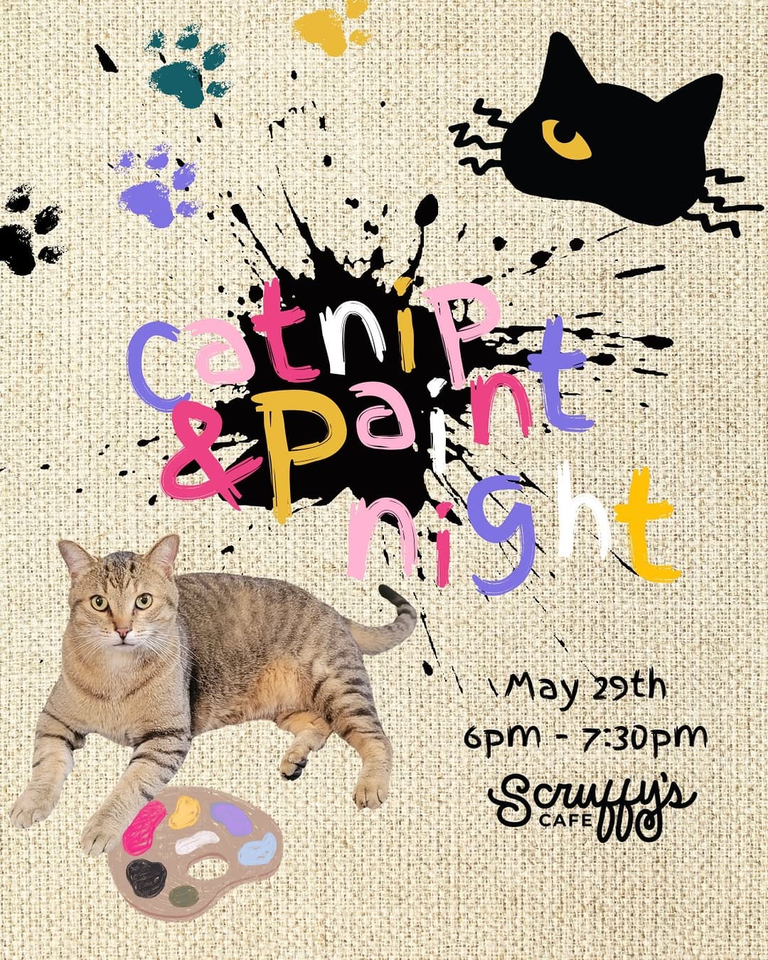 Post 2 by Scruffy’s Cafe | Knoxville’s FIRST & ONLY Cat Cafe on Instagram (image)