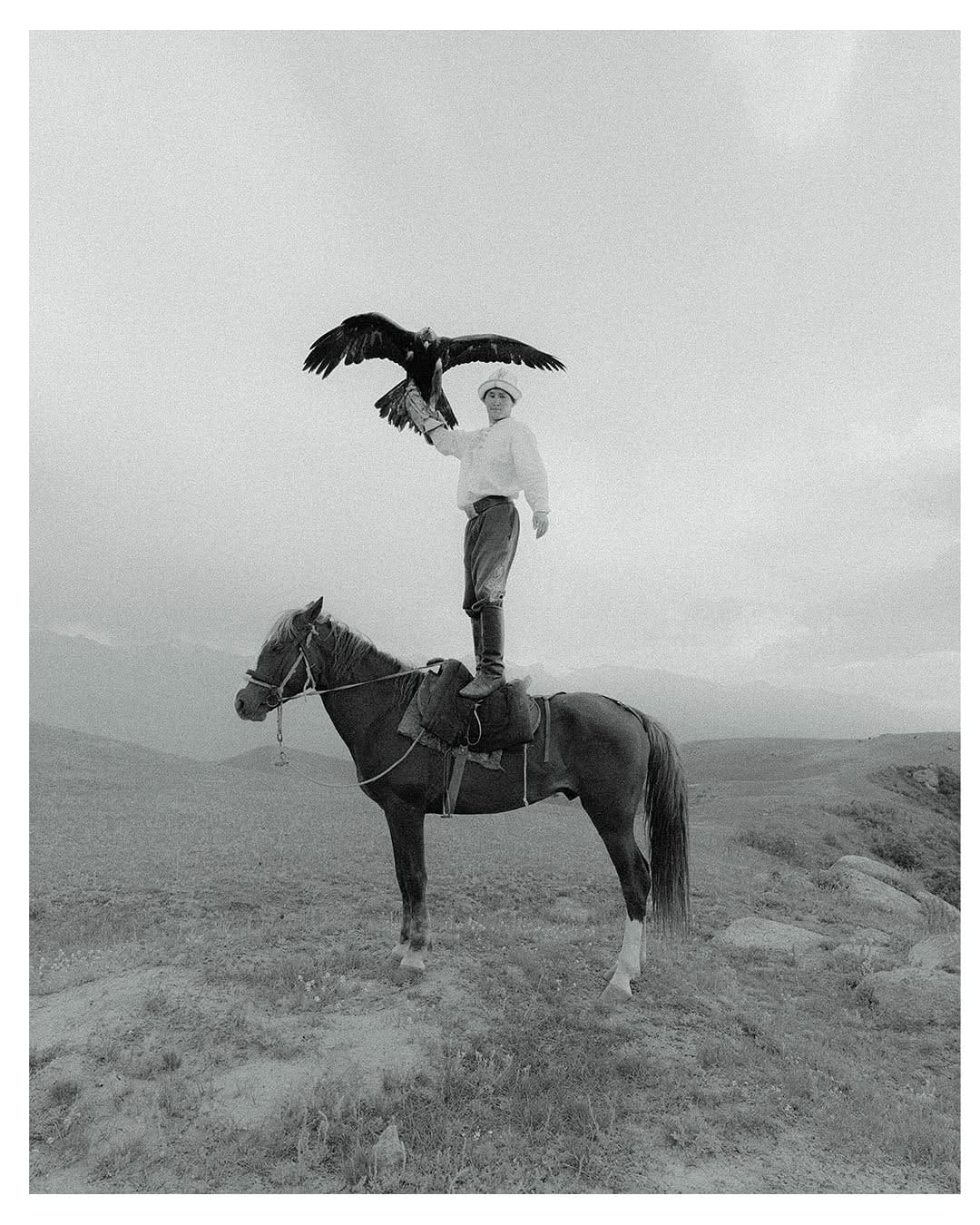 Post 8 by Jason Siegel on Instagram (carousel)
