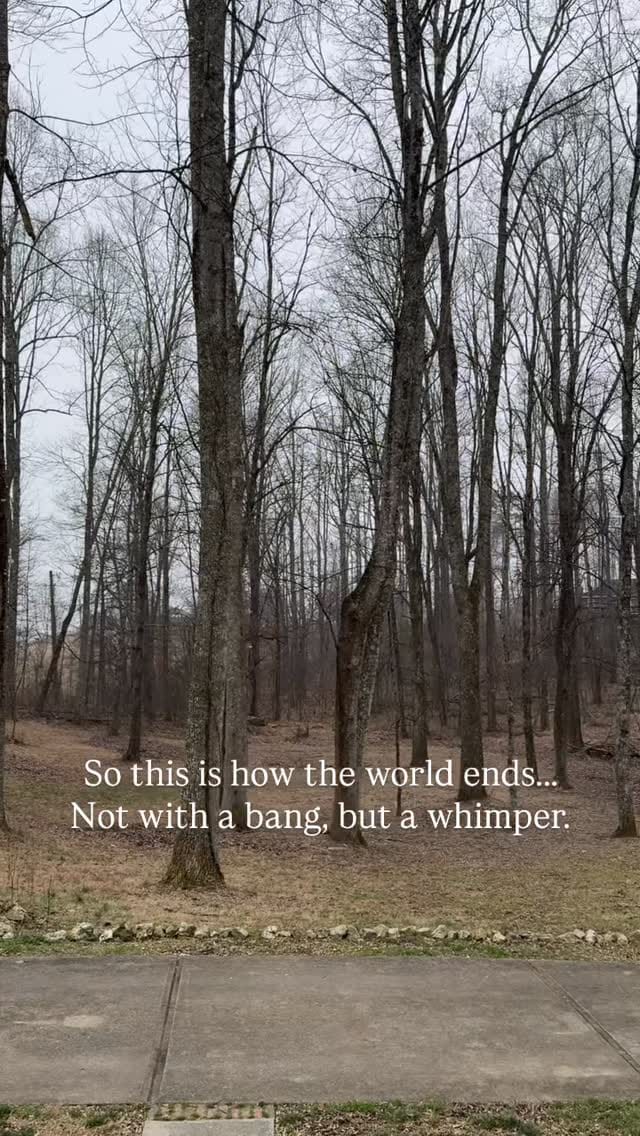 Post 4 by Burt Foster on Instagram (video)