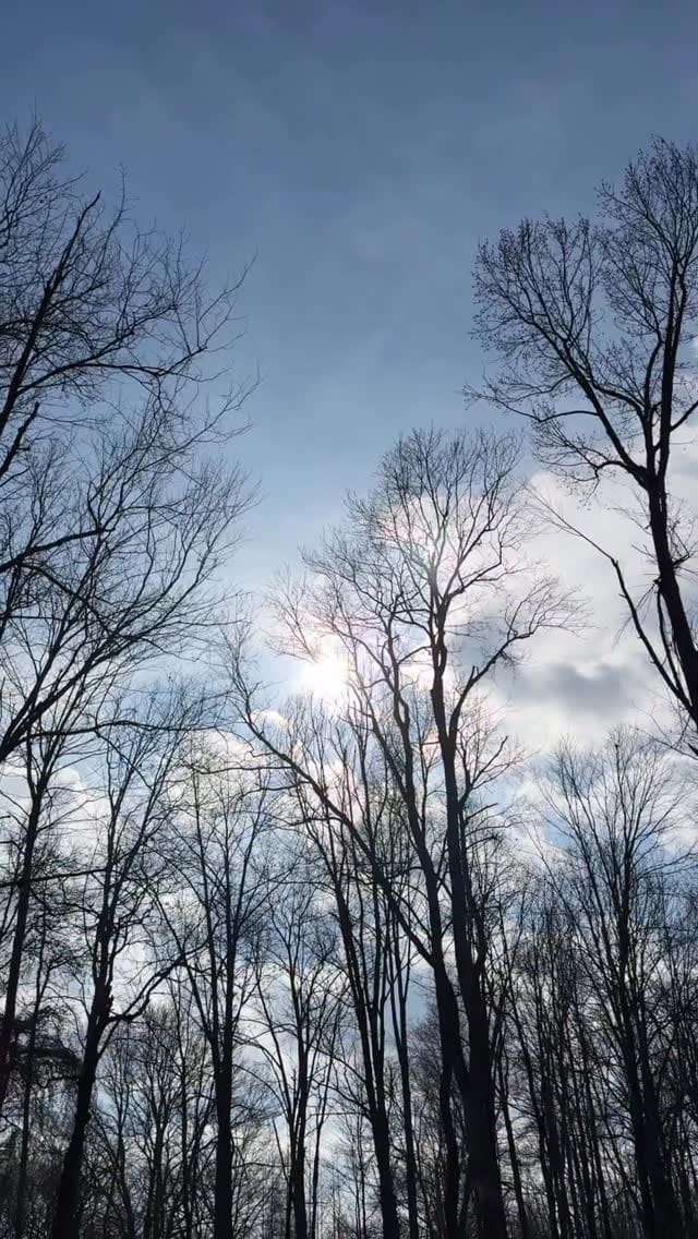 Post 7 by Burt Foster on Instagram (video)