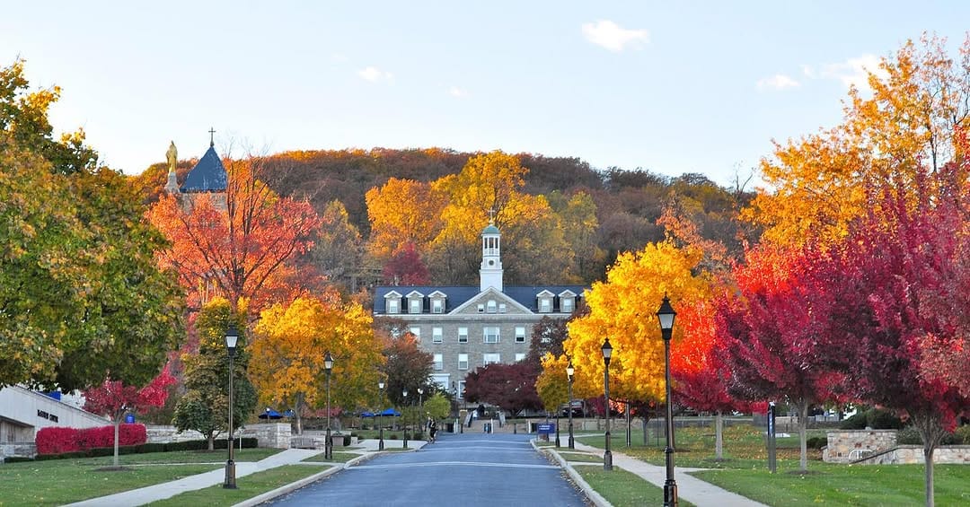 Post 10 by Mount St. Mary's University on Instagram (carousel)