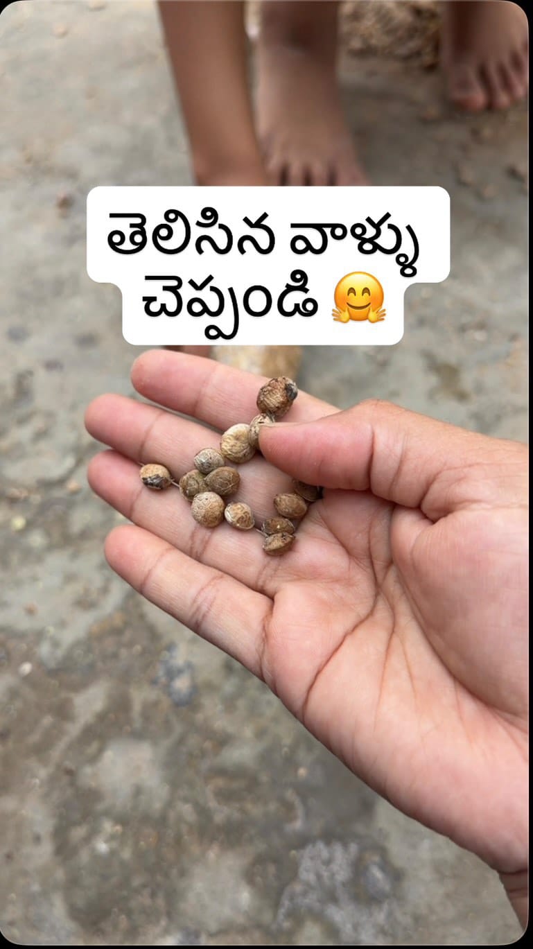 Post 6 by Sree | Indian Telugu Mom | Family Creator in USA on Instagram (video)