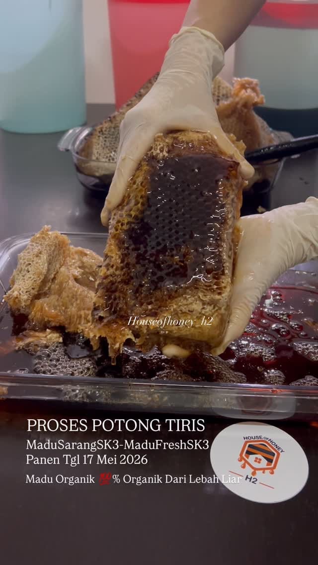 Post 6 by Madu Sarang & Madu Hutan Asli on Instagram (video)