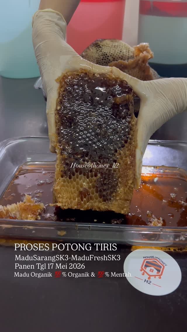 Post 7 by Madu Sarang & Madu Hutan Asli on Instagram (video)